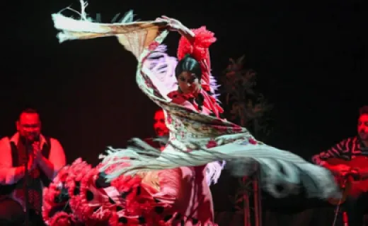 Flamenco Barcelona at the Theater City Hall